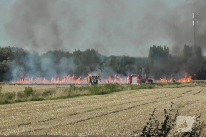 Grote brand op weiland