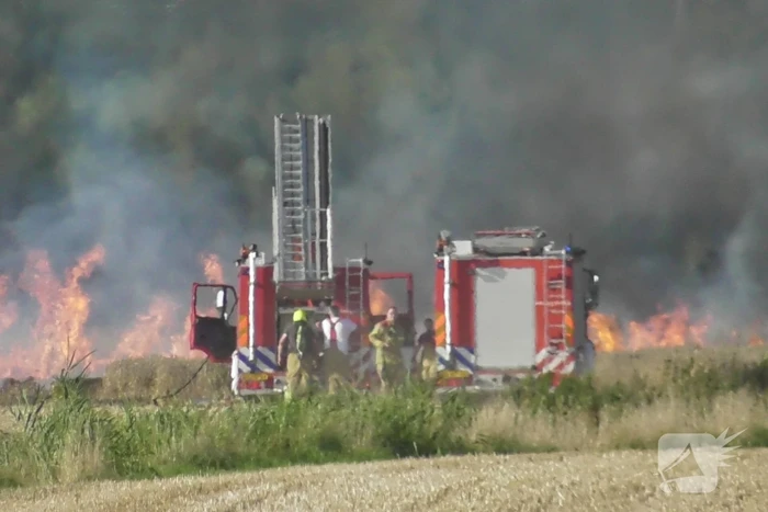 Grote brand op weiland