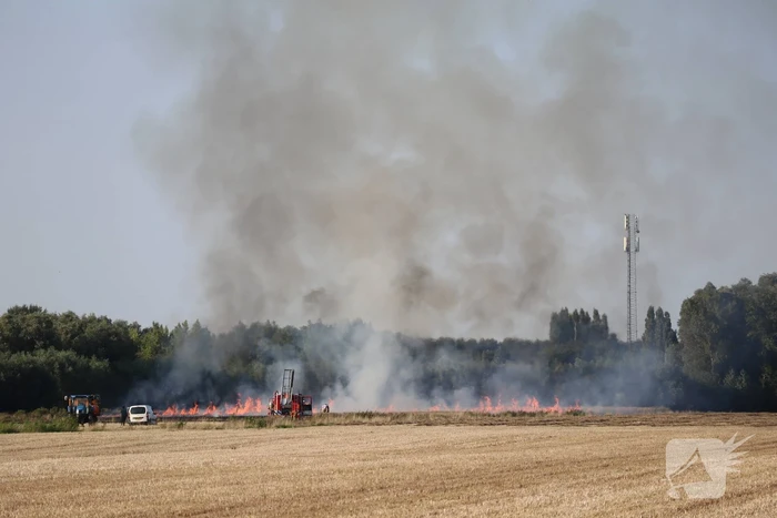 Grote brand op weiland