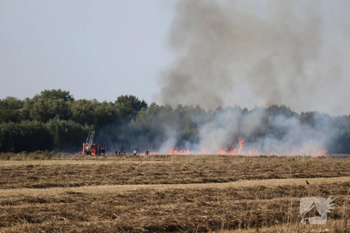 Grote brand op weiland
