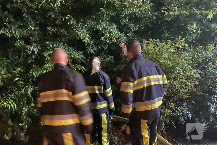 Vlammen bij brand in bosschage