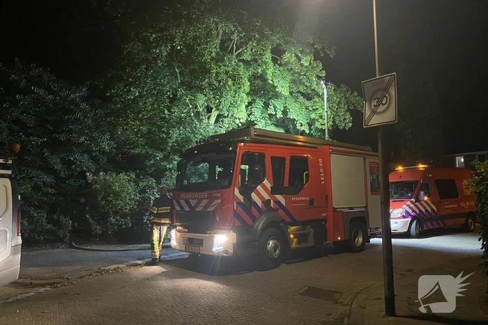 Vlammen bij brand in bosschage
