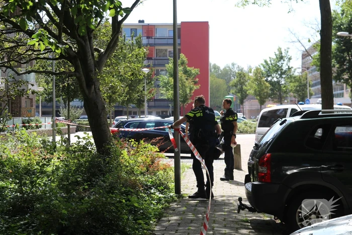 Grote politieinzet in woonwijk