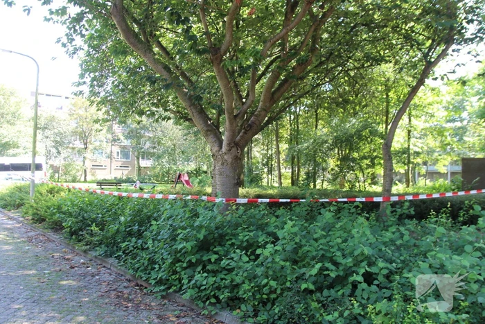 Grote politieinzet in woonwijk