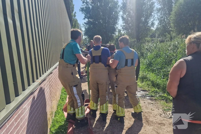Brandweer redt paard uit sloot