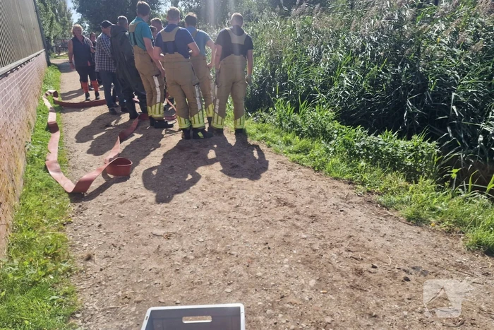 Brandweer redt paard uit sloot