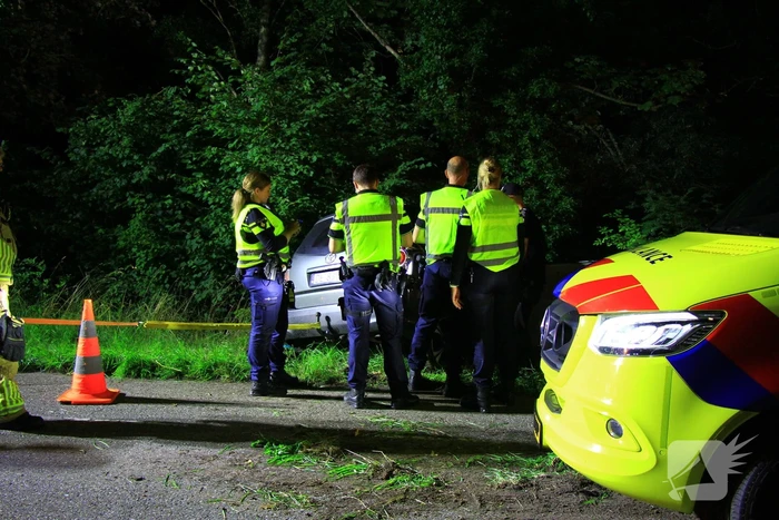 Poolse bestuurder raakt uit de bocht
