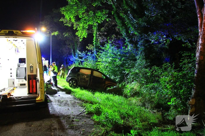 Poolse bestuurder raakt uit de bocht
