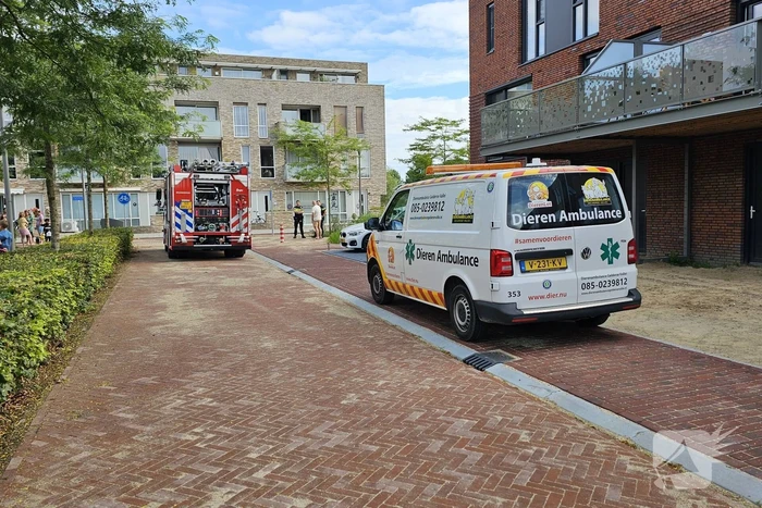 Bewoner gecontroleerd op inademen van rook bij keukenbrand