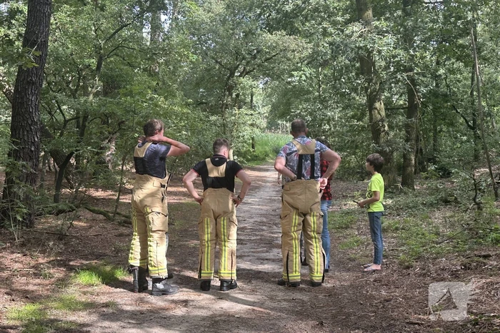 Brand in bosgebied snel onder controle