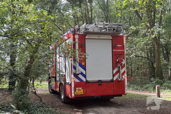 Brand in bosgebied snel onder controle