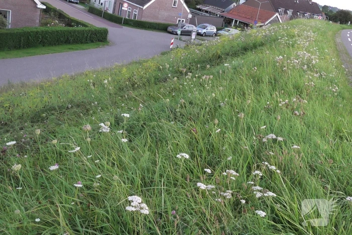 Motorrijder komt ten val