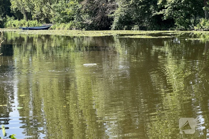 Grote zoektocht naar persoon te water