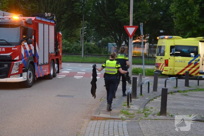 Persoon uit water gered
