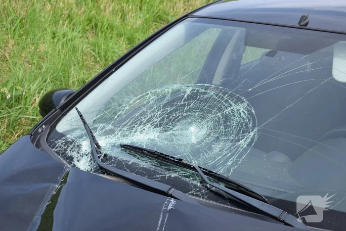 Automobilist raakt met hoge snelheid uit de bocht