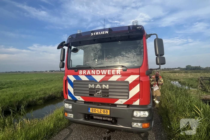 Koe raakt te water in sloot