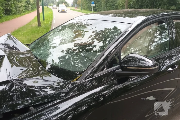 Automobilist knalt tegen boom aan