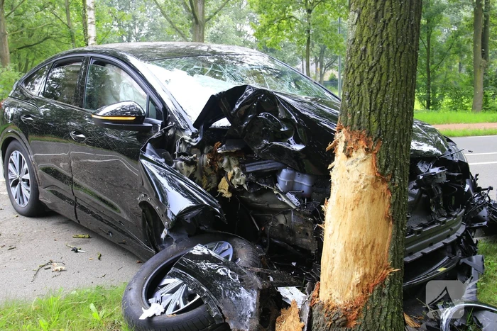 Automobilist knalt tegen boom aan
