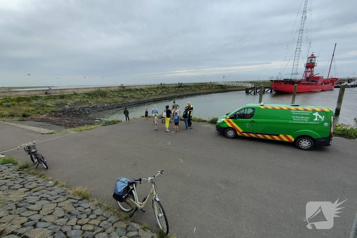 Zieke zeehond gered door dierenambulance