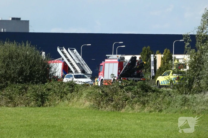 Bestelbus belandt in sloot
