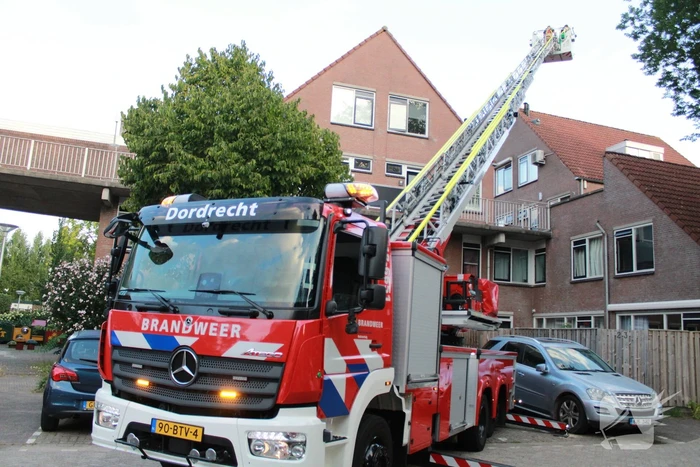 Brandweer redt kat van dak