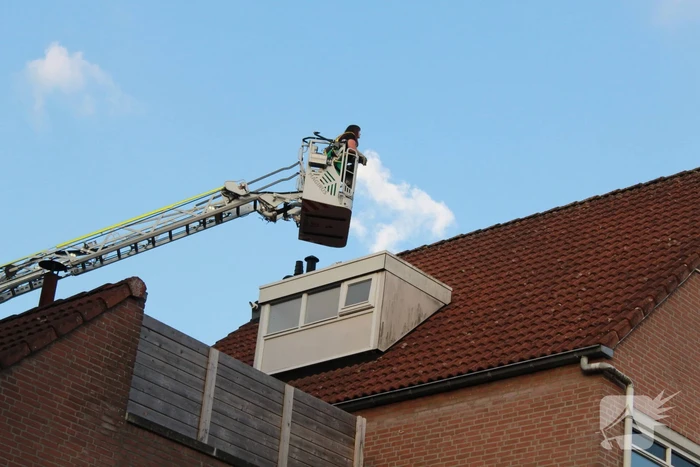 Brandweer redt kat van dak