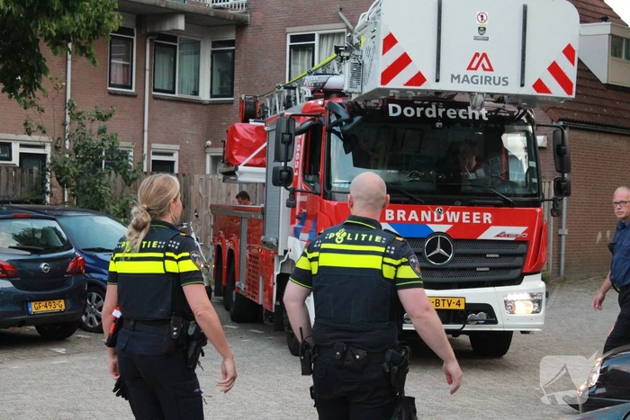 Brandweer redt kat van dak