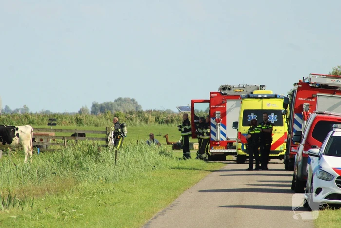 Gewonde nadat mestgassen vrijkomen in stal, drie koeien overleden
