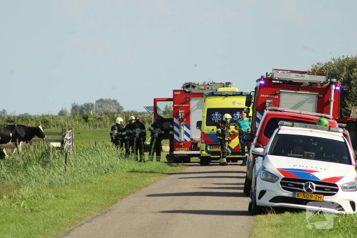 Gewonde nadat mestgassen vrijkomen in stal, drie koeien overleden