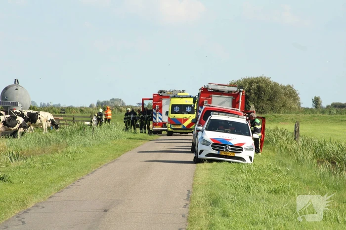 Gewonde nadat mestgassen vrijkomen in stal, drie koeien overleden