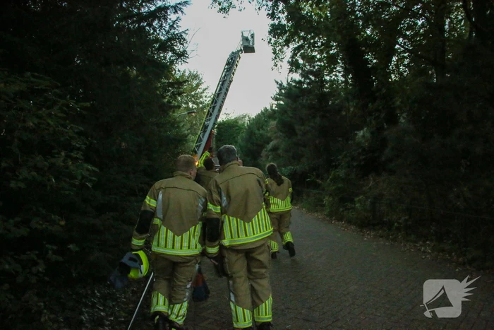 Brandweer verwijdert loshangende takken