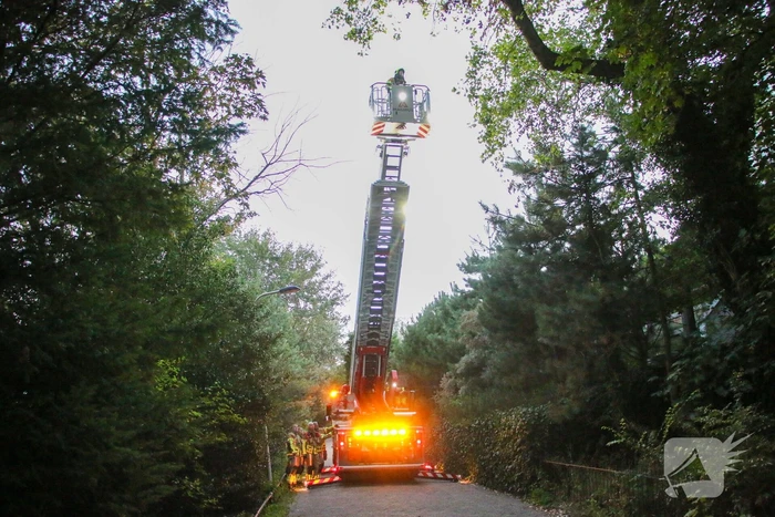 Brandweer verwijdert loshangende takken