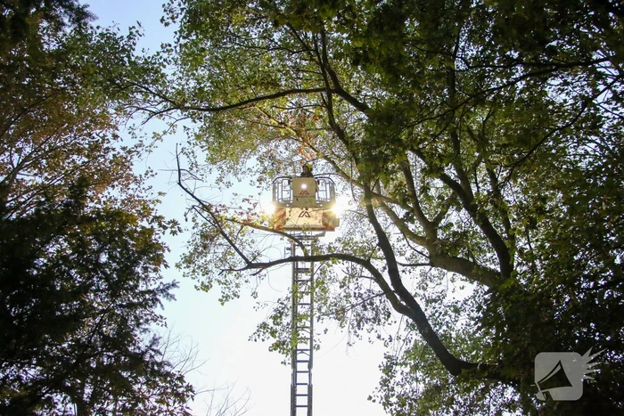 natuur prins hendrikweg noordwijk