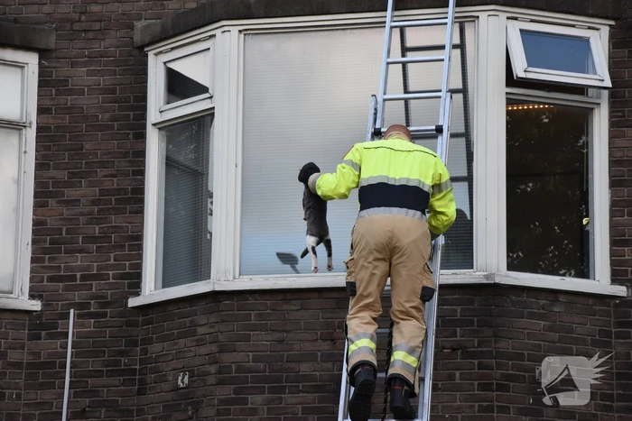 nieuws dirk huizingastraat groningen