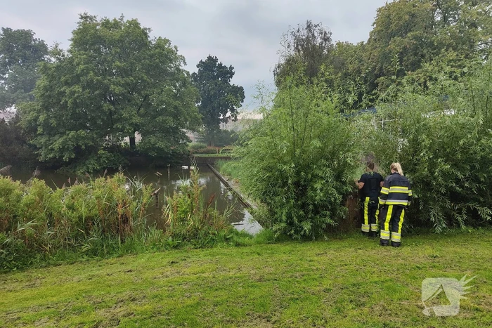 Eend raakt met snavel verstrikt in visdraad