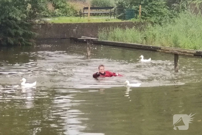 Eend raakt met snavel verstrikt in visdraad