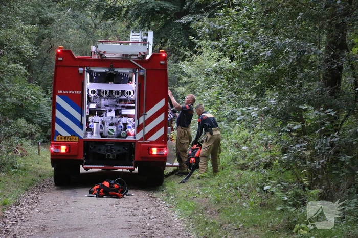 Stuk duin in vlammen opgegaan