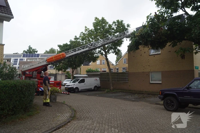 Takken dreigen op parkeerplaats te vallen