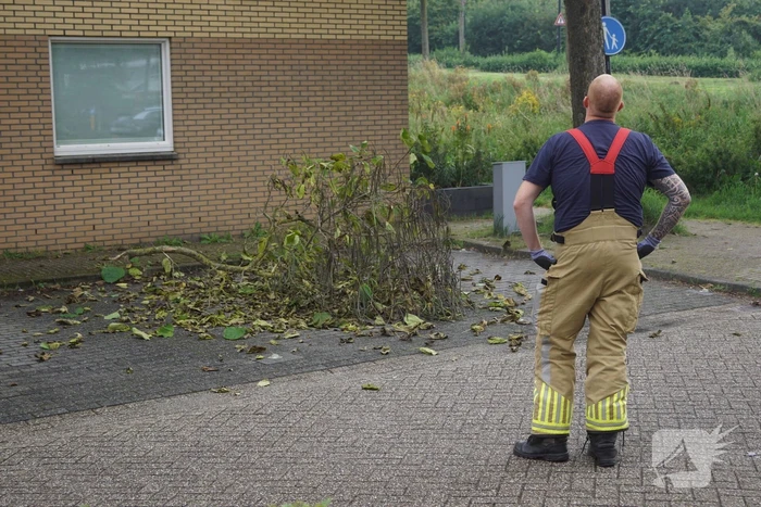 Takken dreigen op parkeerplaats te vallen