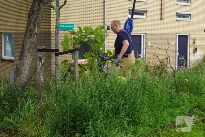 Takken dreigen op parkeerplaats te vallen