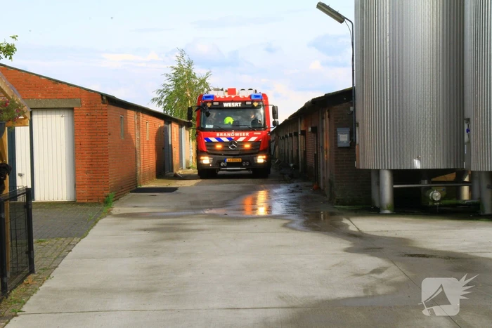 Brandweer ingezet voor dier in de problemen in koeienstal