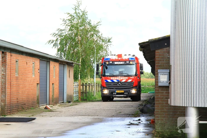 Brandweer ingezet voor dier in de problemen in koeienstal