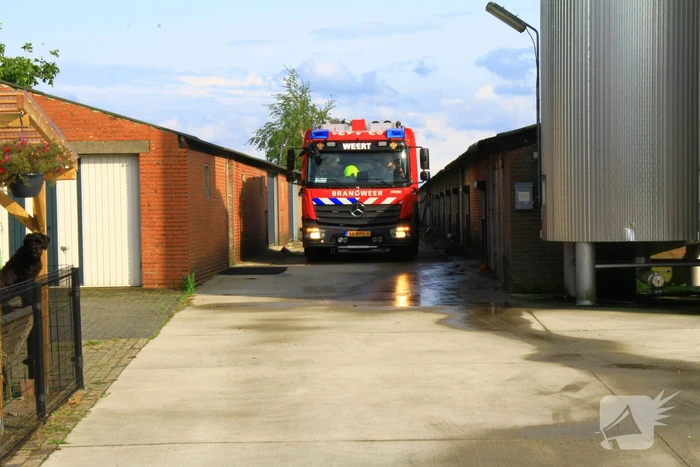 Brandweer ingezet voor dier in de problemen in koeienstal