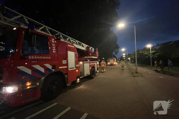 Brandweer ingezet voor loshangende takken