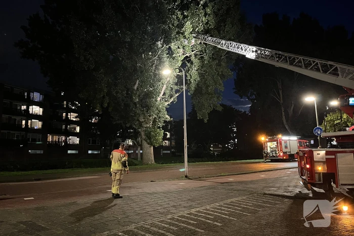 Brandweer ingezet voor loshangende takken
