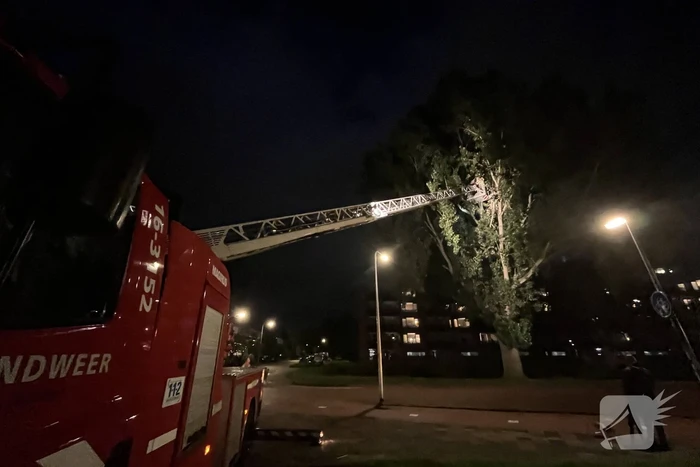 Brandweer ingezet voor loshangende takken