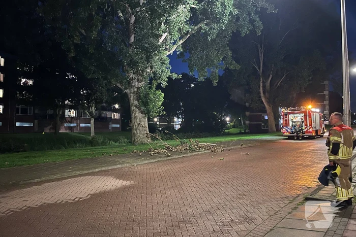 Brandweer ingezet voor loshangende takken