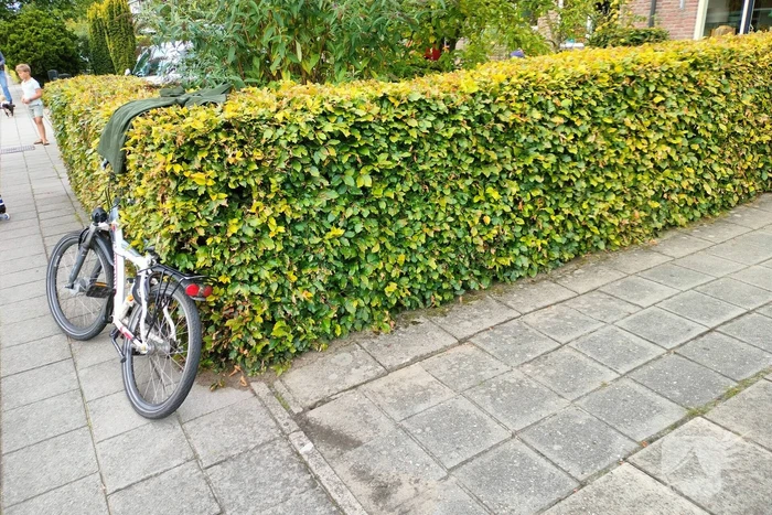 Kind gewond bij ongeval met auto