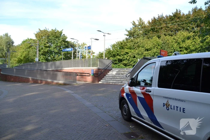 Treinverkeer stilgelegd door persoon op spoor