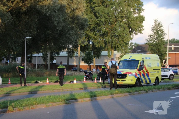 steekincident brasserskade den haag